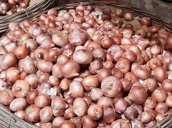 NBR removes import duty on onions